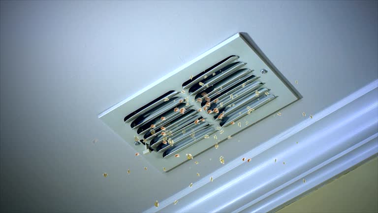 Best Air Vent Cleaning Services  in Moundridge, KS